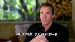 阿诺被爆料最新视频播放,揭秘背后惊人真相！